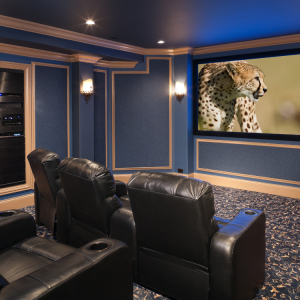 Audio Visual in Coastal Bend, TX